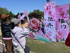 -太阳宫公园