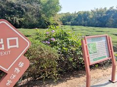 -大屏嶂森林公园