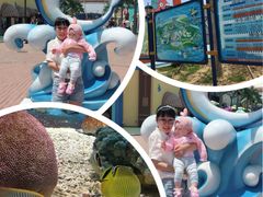 -北戴河圣蓝海洋公园