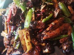 -鸡毛店·川菜(双楠店)