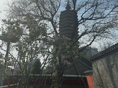-西海子公园