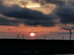 -黄海国家森林公园