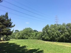 -长白岛森林公园