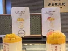 -连杏双皮奶(长沙国金店)
