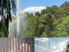 -阿露佳·舌尖上的安吉菜