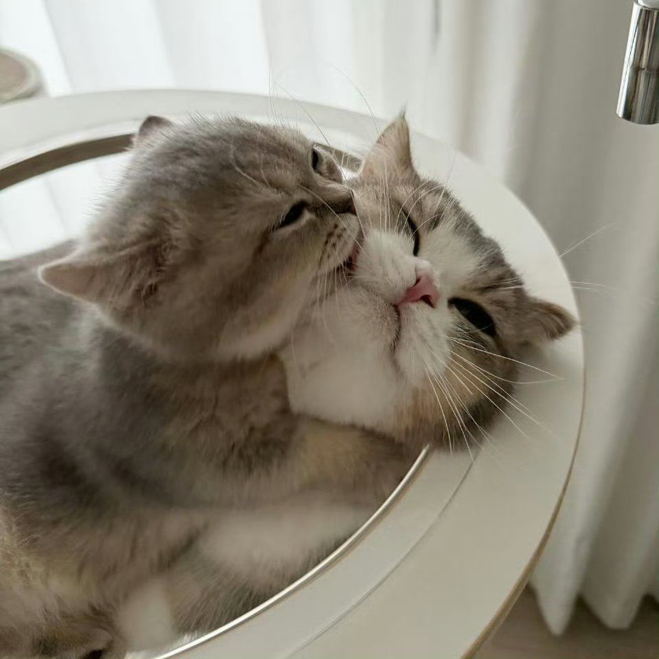 天冷了要抱抱和贴贴