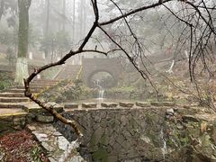 -莫干山风景区