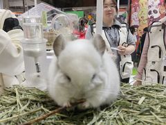 -东浩兰生上海世博展览馆