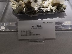 -湖南省地质博物馆