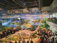 -自贡恐龙博物馆