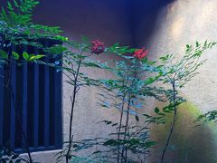 -韶山毛泽东同志故居