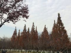 -白塘生态植物园