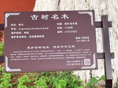 -武侯墓风景区