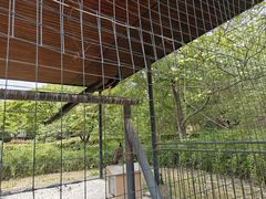 -金钉子远古世界景区