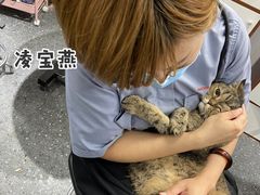-宠物家(双井店)