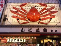 -蟹道乐(道顿堀本店)