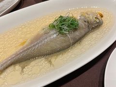 -江南·JIANGNAN(北京歌华开元大酒店)