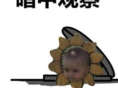 -海底捞火锅(创意园店)