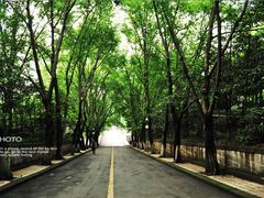 -西南政法大学(渝北校区)