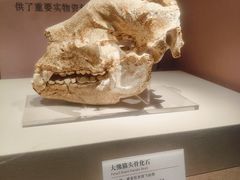 -咸宁市博物馆