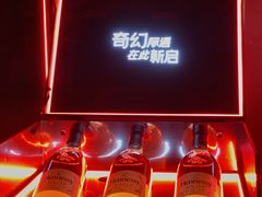 -精绝七日-新疆尼雅遗址数字大展【拉法耶文化艺术中心】