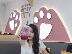 -喵园·猫主题咖啡厅·撸猫·猫咖(国贸店)