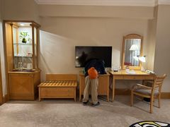 -南京维景国际大酒店(南京博物院店)