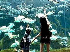 -哈尔滨波塞冬海底世界