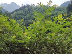 -水墨汀溪风景区