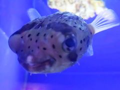 -乌鲁木齐海洋馆