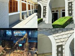 -帽儿山国家森林公园