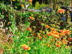 -北京西山国家森林公园