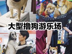 -东浩兰生上海世博展览馆