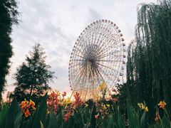 -七彩云南欢乐世界