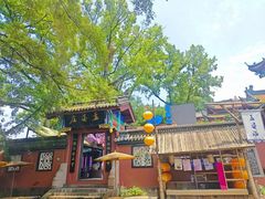 -丰都鬼城名山景区