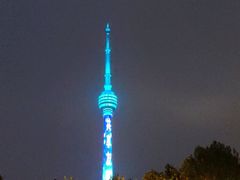 -龟山风景区-龟山电视塔