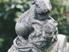 -顾村公园
