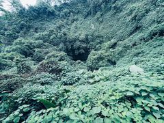 -海口火山口国家地质公园