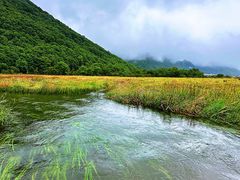 -大九湖