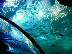 -多彩贵州城极地海洋世界