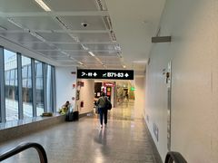 -米兰马尔彭萨国际机场