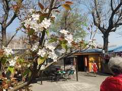 -闻道食府烙饼卷带鱼(原车耳营店原大觉寺店)