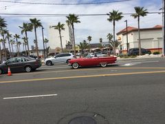 -In-N-Out Burger(LAX)