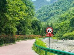 -鹿院坪生态旅游景区