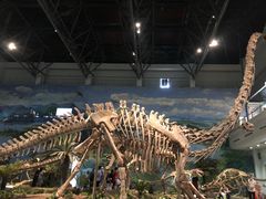 -自贡恐龙博物馆