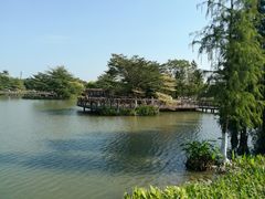-海珠湖公园