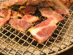 -西塔斗牛家烧烤(中海寰宇店)