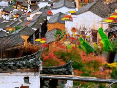 -婺源风景区