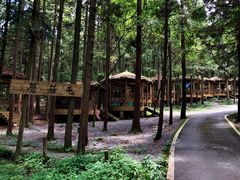 -武陵山森林公园