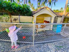 -三亚亚龙湾天域度假酒店